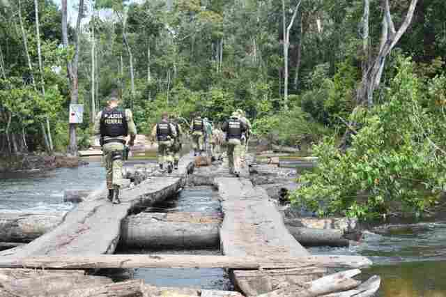 Operação da PF destrói ponte usada por criminosos em invasão a parque em Rondônia