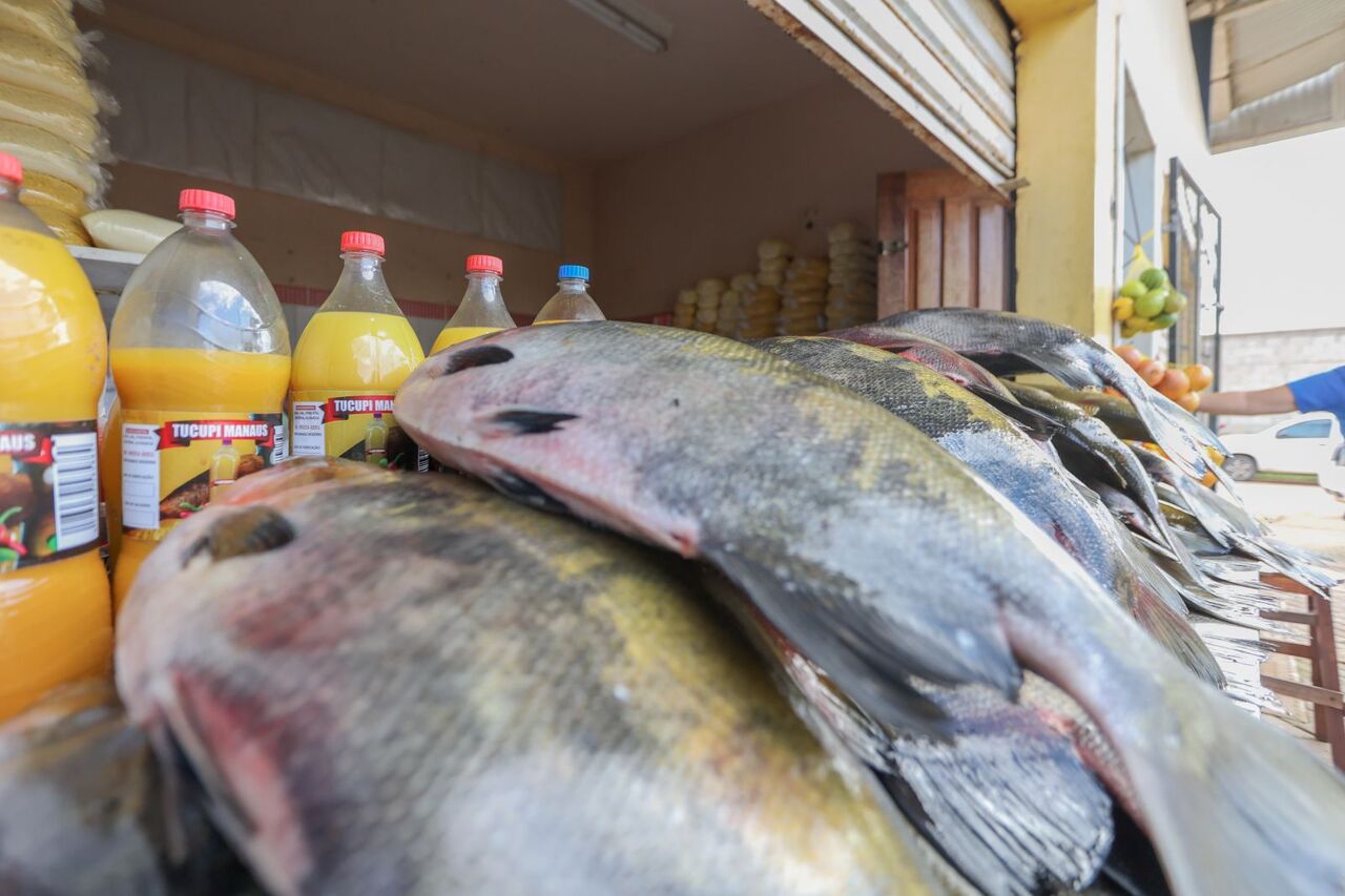 Mercados populares e feiras livres oferecem peixe a preços mais em conta aos consumidores