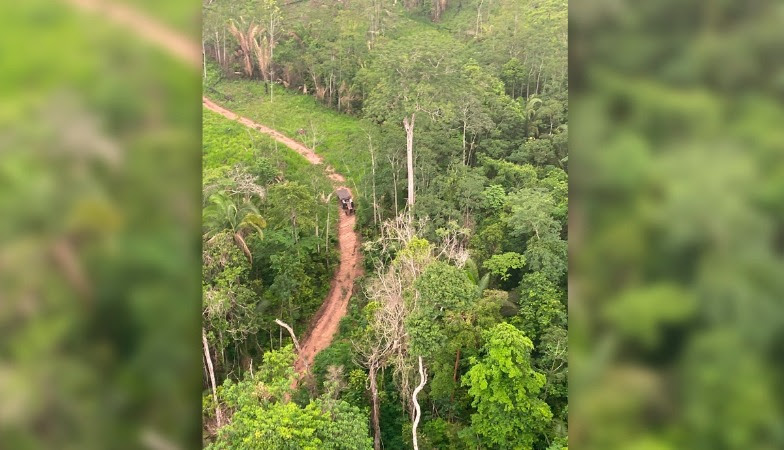 Desembargador mantém ordem de desocupação do parque estadual Guajará-Mirim