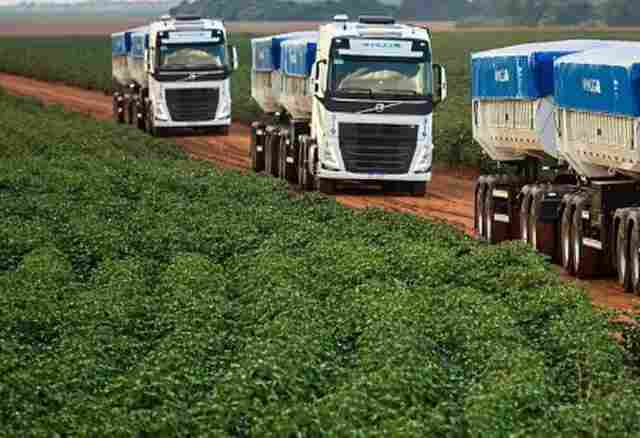 Programa de Trainee Amaggi 2023 tem vagas para Mato Grosso e Rondônia
