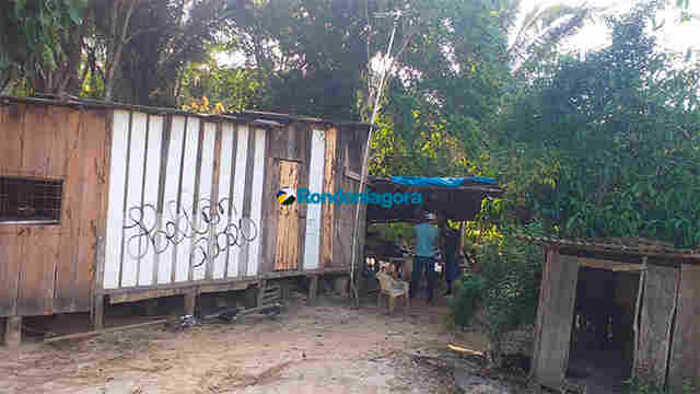 Agricultor é preso após matar homem com golpes de foice na cabeça, em fazenda na BR-319 por causa de porcos