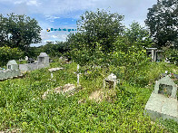 Cemitério do Santo Antônio está tomado pelo mato na semana do Dia das Mães; Prefeitura intensifica mutirões