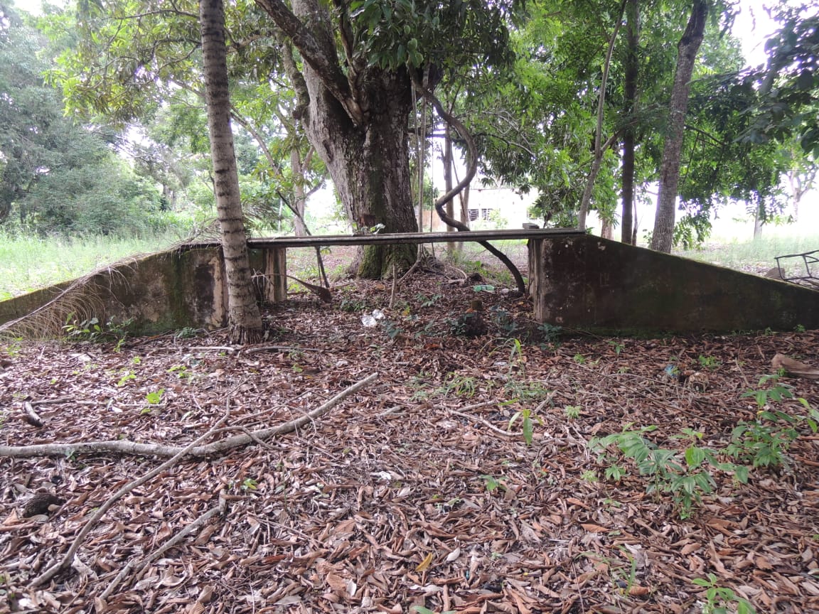 Curso de Arqueologia da Unir inicia primeira escavação urbana em Rondônia