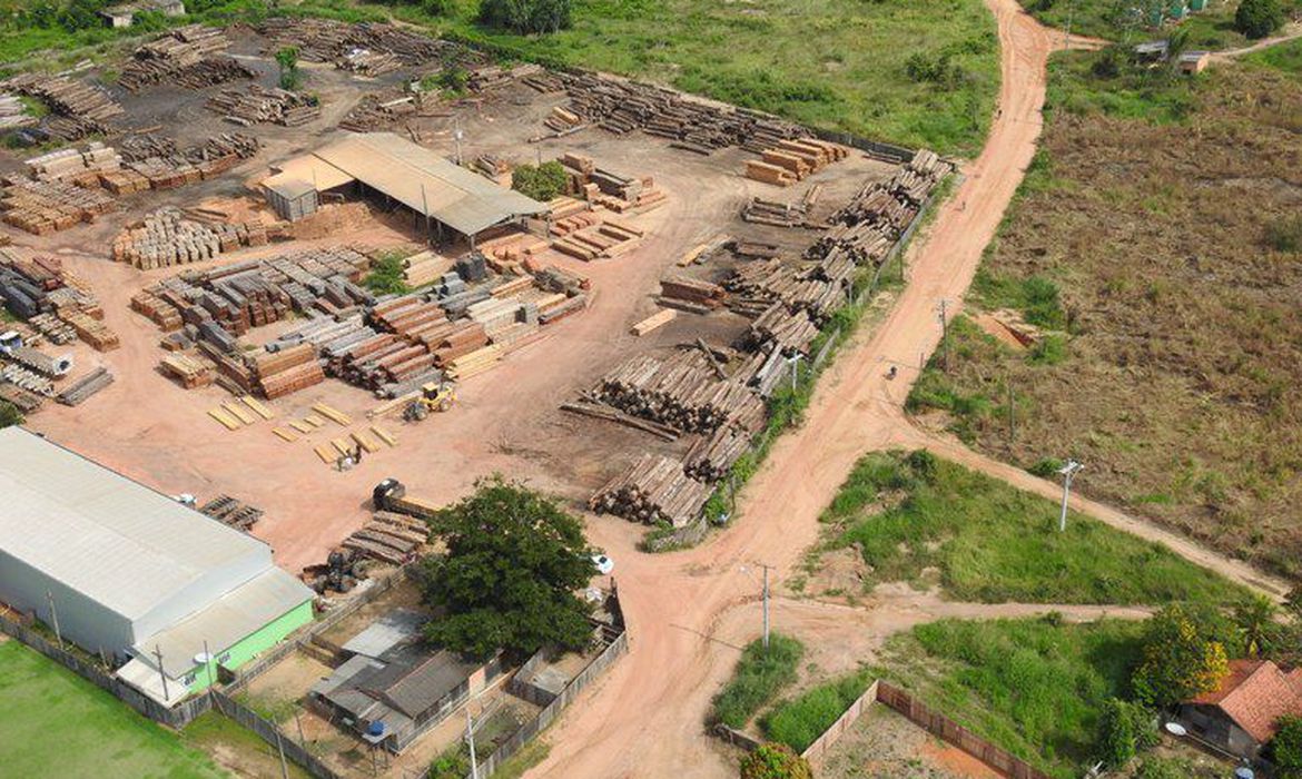 Operação na Terra Índigena Karipuna, em Rondônia, indicia 12 e prende um