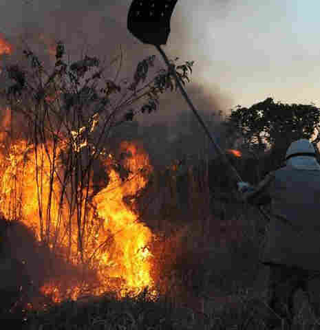 Ibama reforça efetivo em Rondônia e começa ações de combate a queimadas nesta quinta-feira