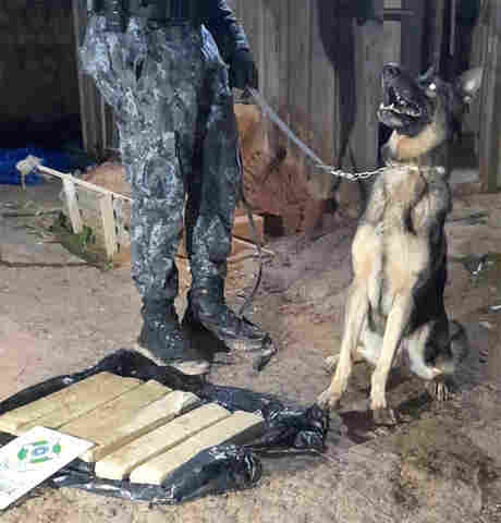 Com ajuda de cães farejadores, PM encontra droga em casa abandonada