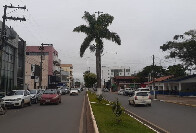 Vilhena e Cacoal foram as cidades mais frias da Região Norte na terça-feira, diz Inmet