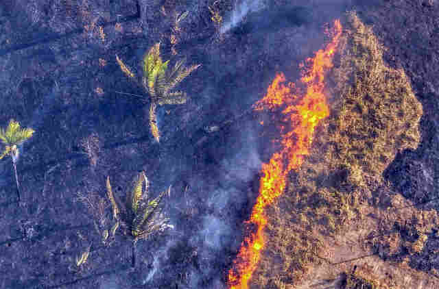 Prefeitura intensifica ações de combate a queimadas urbanas e rurais em Porto Velho