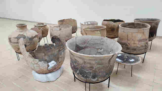 Unir inaugura exposição com peças do rio Madeira de 10 mil anos