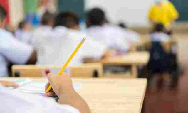 Tribunais de Contas passarão a fiscalizar oferta de educação ambiental e antirracista