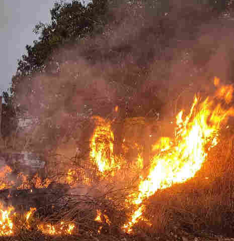 Focos de fogo crescem 145% em 12 dias em Rondônia