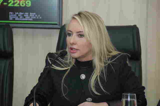 Ieda Chaves propõe a criação da Coordenadoria Estadual de Políticas Públicas para as Mulheres