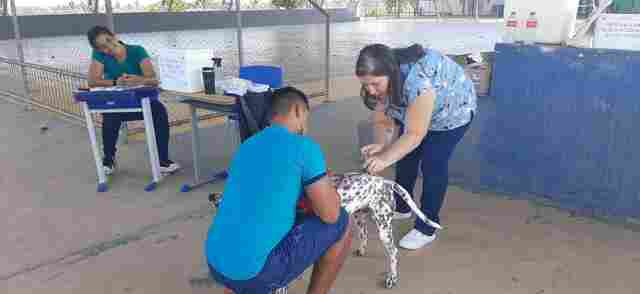 Mais de 300 animais foram imunizados durante vacinação itinerante em Jaci-Paraná
