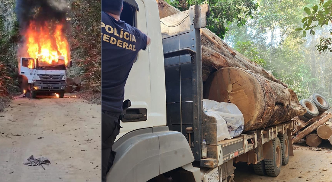 Operação da PF e Ibama destrói equipamentos usados para extração de madeiras de terra indígena