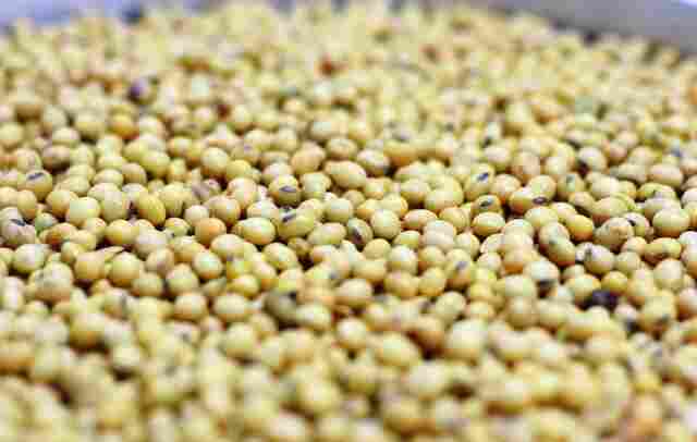 Rondônia tem safra recorde de grãos e produção supera 3,5 milhões de toneladas