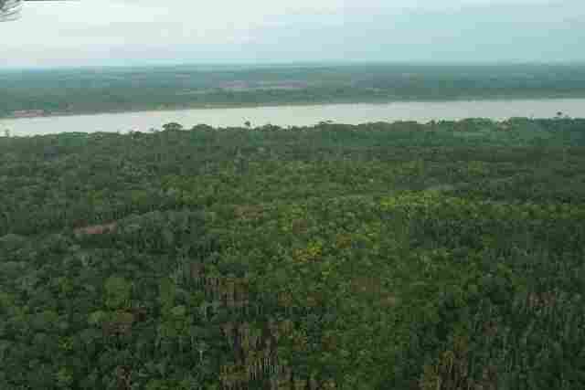 Criação arbitrária de unidades de conservação coloca em xeque o futuro da economia de Rondônia