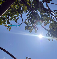 Onda de calor: mais de 10 cidades rondonienses devem registrar 39°C na quinta-feira