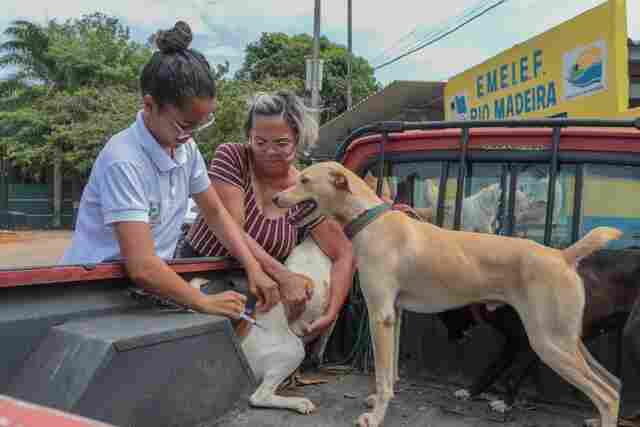 Dia de D de vacinação antirrábica será 30 de setembro em Porto Velho
