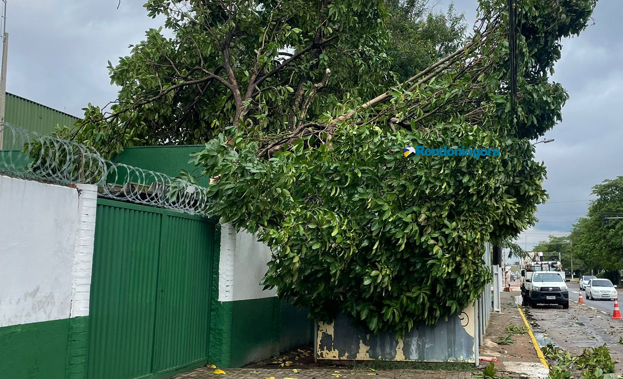 Temporal na capital também destelhou casas e derrubou muros e paredes