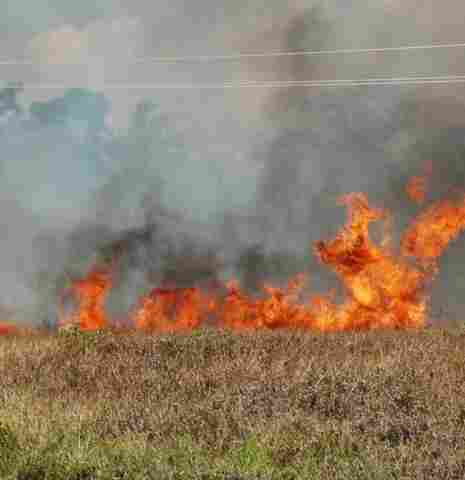 Seca castiga Rondônia e focos de incêndio crescem 55% em setembro
