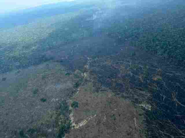 PF deflagra Operação Depuração II contra queimada ilegal no Amazonas
