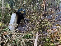 Vídeo: avião cai em Rio Branco e explode com 12 pessoas

