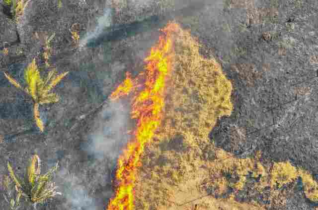 Porto Velho registrou 360 denúncias sobre queimadas irregulares esse ano