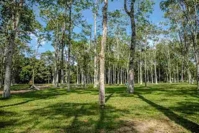 Termina nesta segunda o prazo para inscrições ao processo seletivo para contratação de voluntários na Sema
