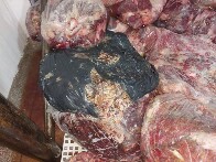 Carne estragada em escolas: Governo suspende contrato com empresa e diz que licitação foi regular