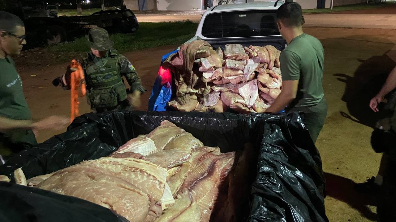 Comerciante é preso com uma tonelada de pirarucu em Rondônia