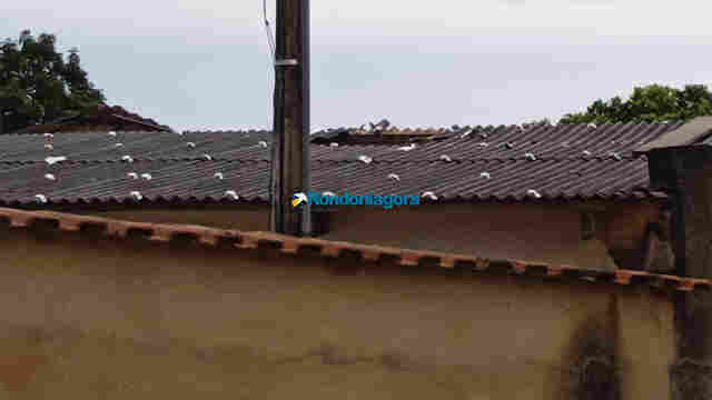 Trabalhador cai de telhado na zona leste e fica em estado grave