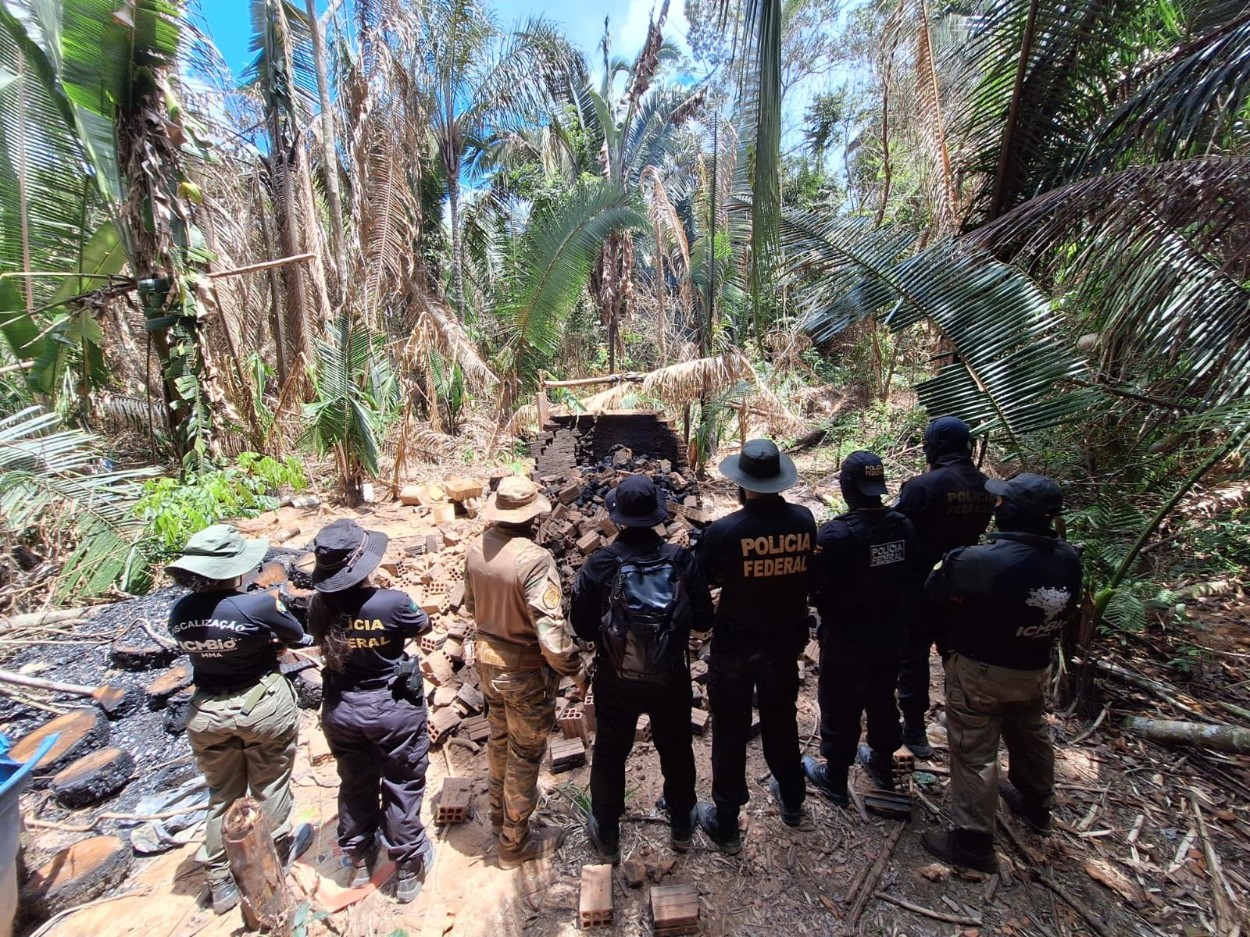 Operação da PF localiza e destrói carvoaria clandestina dentro de reserva em Rondônia