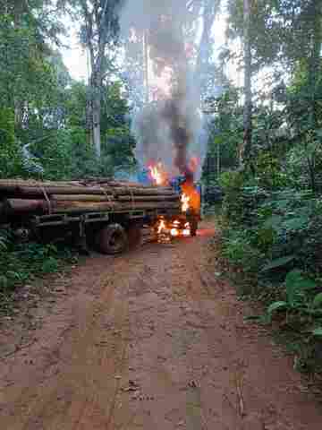 Operação da PF em reservas indígenas gera prejuízo de R$ 1 milhão a madeireiros e garimpeiros