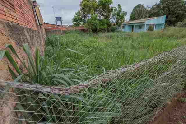População pode denunciar irregularidades em terrenos baldios da capital
