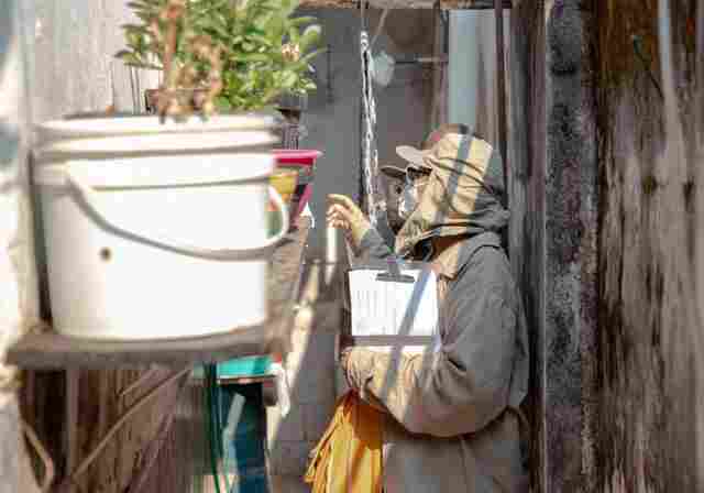 Prefeitura inicia na segunda-feira mutirão de secretarias contra a dengue na capital