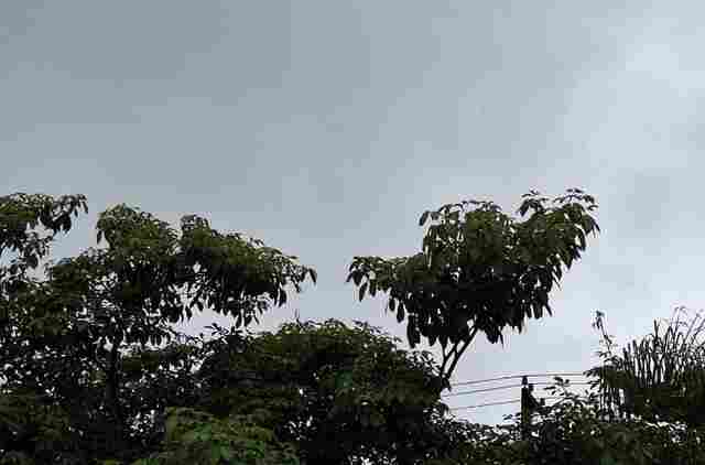 Inmet emite alerta de chuvas intensas em grande parte de Rondônia