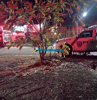 Corpo de jovem com mãos amarradas e tiro na cabeça é encontrado em matagal no Orgulho do Madeira