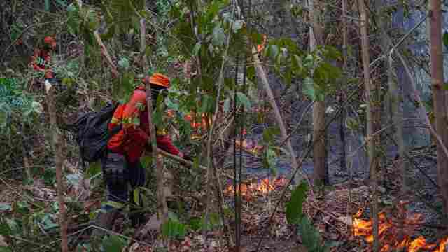 Equipes especializadas relatam dificuldades para combater chamas em florestas de Rondônia