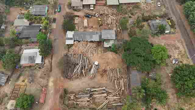 PF deflagra operação contra transporte irregular de madeira em Rondônia
