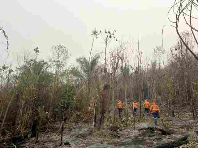 Governo do estado abre seleção para contratação de mais de 100 brigadistas em Rondônia