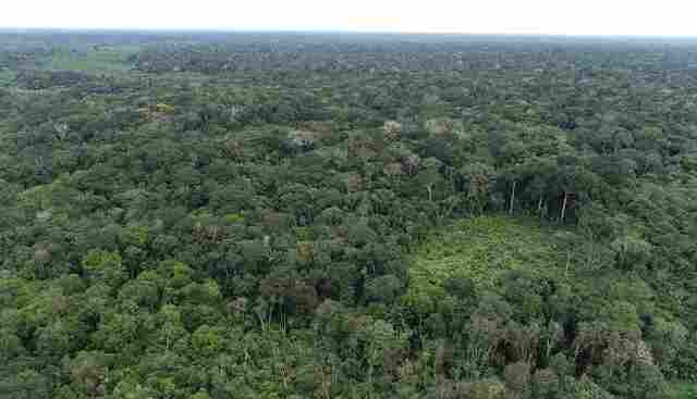 MP ajuíza Ação Civil Pública visando cancelamento de Cadastro Ambiental Rural sobre unidades de conservação
