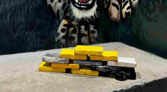 Taxista é preso transportando 12 kg de cocaína para Porto Velho