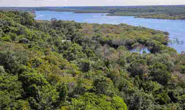 Rondônia lidera queda de desmatamento no país com mais de 62% em um ano, revelam dados do Governo Federal