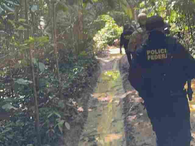 PF e PM realizam operação em reserva índigena e flagram exploração ilegal de madeira