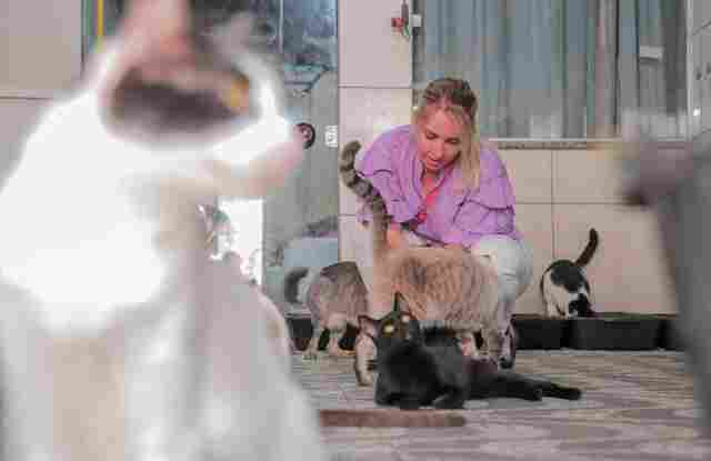 Ieda Chaves recomenda a criação do Fundo Estadual de Bem-Estar Animal em Rondônia