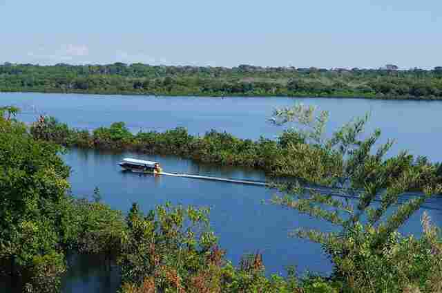 Alteração de limites de reservas extrativistas em Rondônia é sancionada pelo presidente