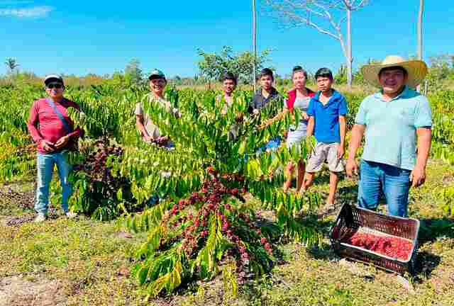Governo de Rondônia publica Edital de Chamada Pública para Programa de Aquisição de Alimentos Indígena