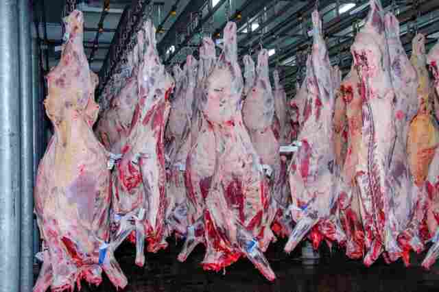 Rondônia registra aumento de cerca de 20% nas exportações de carne em 2024
