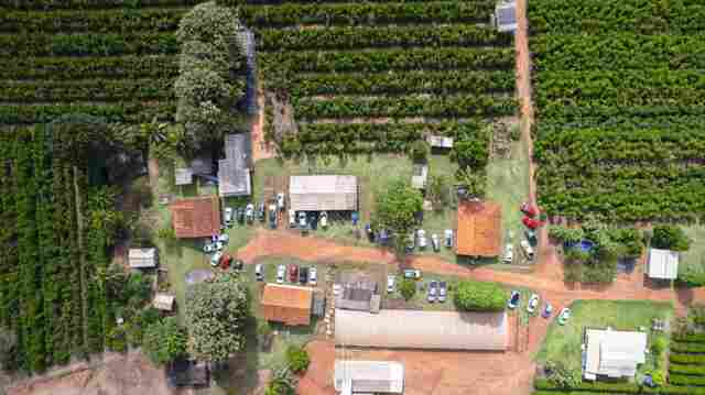 Crescimento da cafeicultura em Rondônia impulsiona visitas à Rota Turística do Café
