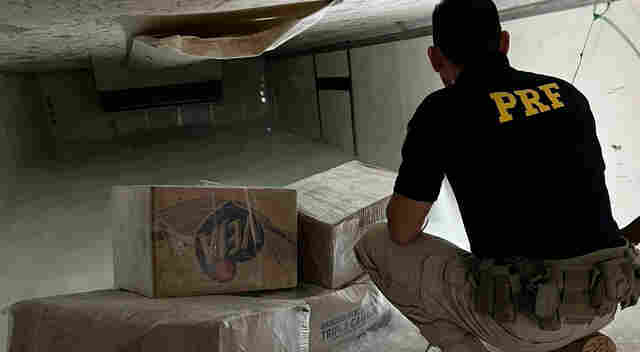 Motorista é preso pela PRF com carga de quase 180 kg de drogas escondida em meio a peixes